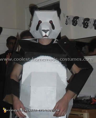 Coolest Homemade Panda Costume Ideas