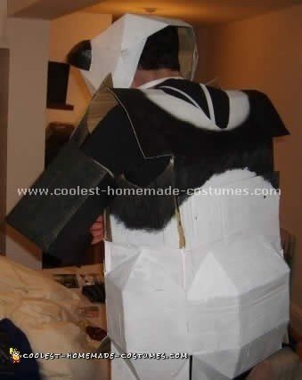 Panda Costume