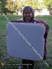 Peanut Butter Jelly Sandwich Costume