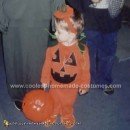 Coolest Homemade Jack-o'-Lantern Pumpkin Halloween Costume Ideas