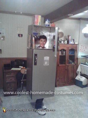 Homemade Sensational Stainless Steel Refrigerator Costume