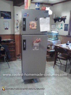 Homemade Sensational Stainless Steel Refrigerator Costume