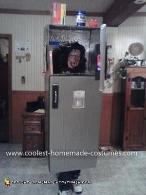 Homemade Sensational Stainless Steel Refrigerator Costume