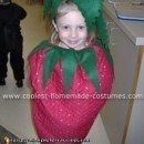 Strawberry Costume