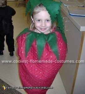 Strawberry Costume