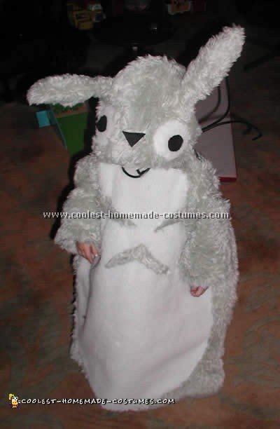 Coolest Homemade Totoro Costume Ideas and Photos