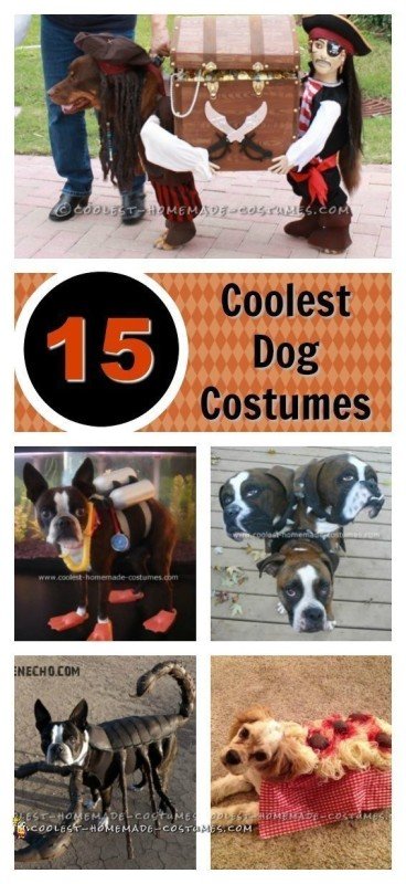 15 Coolest Dog Halloween Costume Ideas