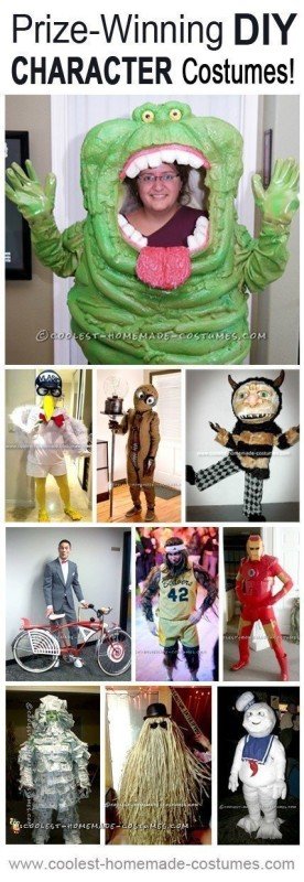 Top 10 Contest-Winning Homemade Character Costumes