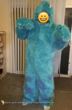 monsters inc family costumes
