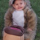 adorable squirrel costume