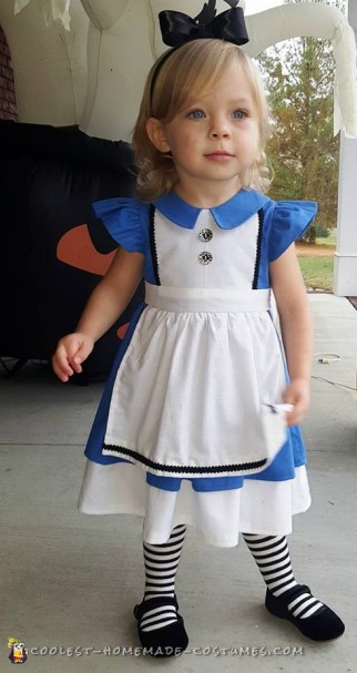 DIY Alice in Wonderland and the Mad Hatter Family Costume