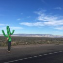 homemade cactus costume