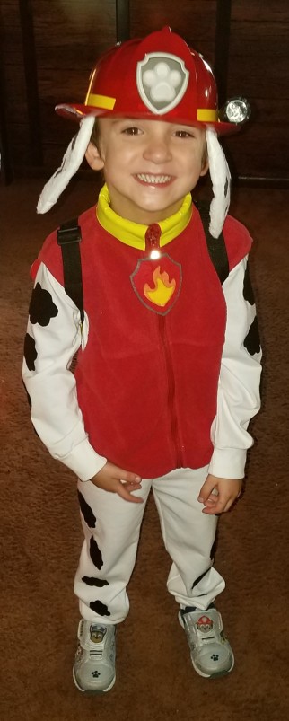 paw patrol child costume