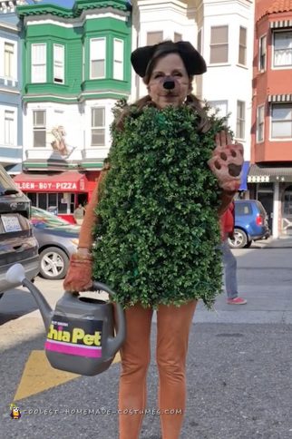Cool Chia Head and Chia Pet Costume for a Couple