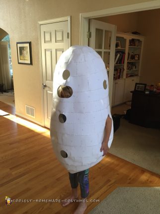 Coolest DIY Mr. Potato Head Group Costume