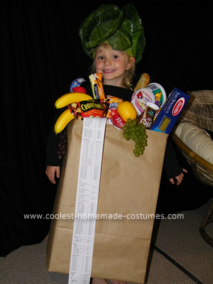 Coolest Homemade Bag of Groceries Costume