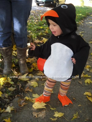  Batman Robin Catwoman and Penguin Halloween Costume