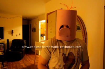 Homemade Beaker Costume