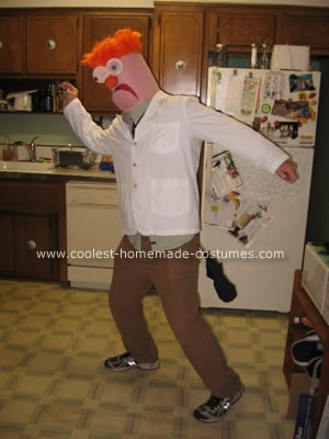 Homemade Beaker Costume