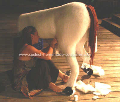 Centaur Costume