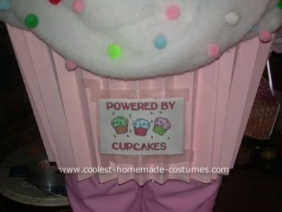 Cupcake Costume