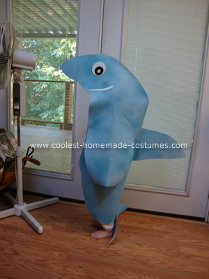 Dolphin Costumes 