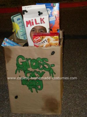  Gross-ary-Bag Costume