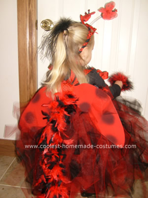 Ladybug Halloween Costume 