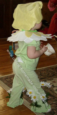 Little Daisy Costume