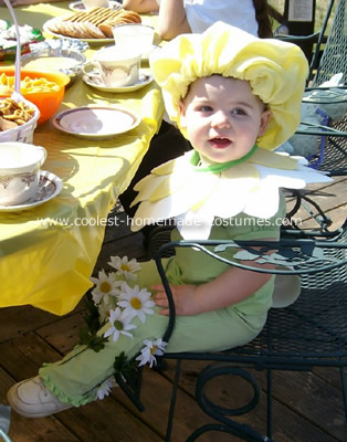 Little Daisy Costume