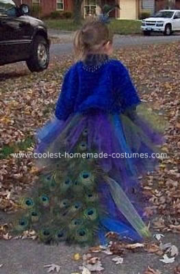 Peacock Princess Costume