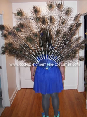 Peacock Costume