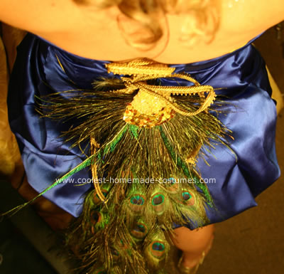  Peacock Costume Costume 
