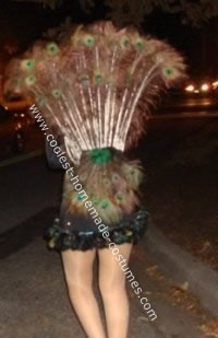  Peacock Costume 