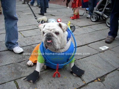 Scuba Bulldog Costume