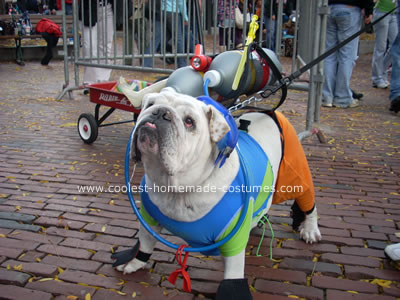 Scuba Bulldog Costume