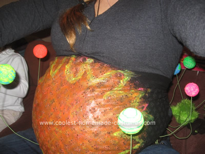  pregnancy Costume 