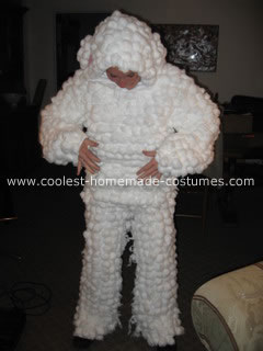 Sheep Costume