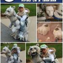 Coolest Star Wars Halloween Costume Ever! Luke Skywalker Riding on Tauntaun