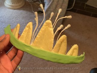 Coolest homemade princess tiana costume