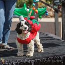 Sew Adorable Pincushion Costume for a pup)