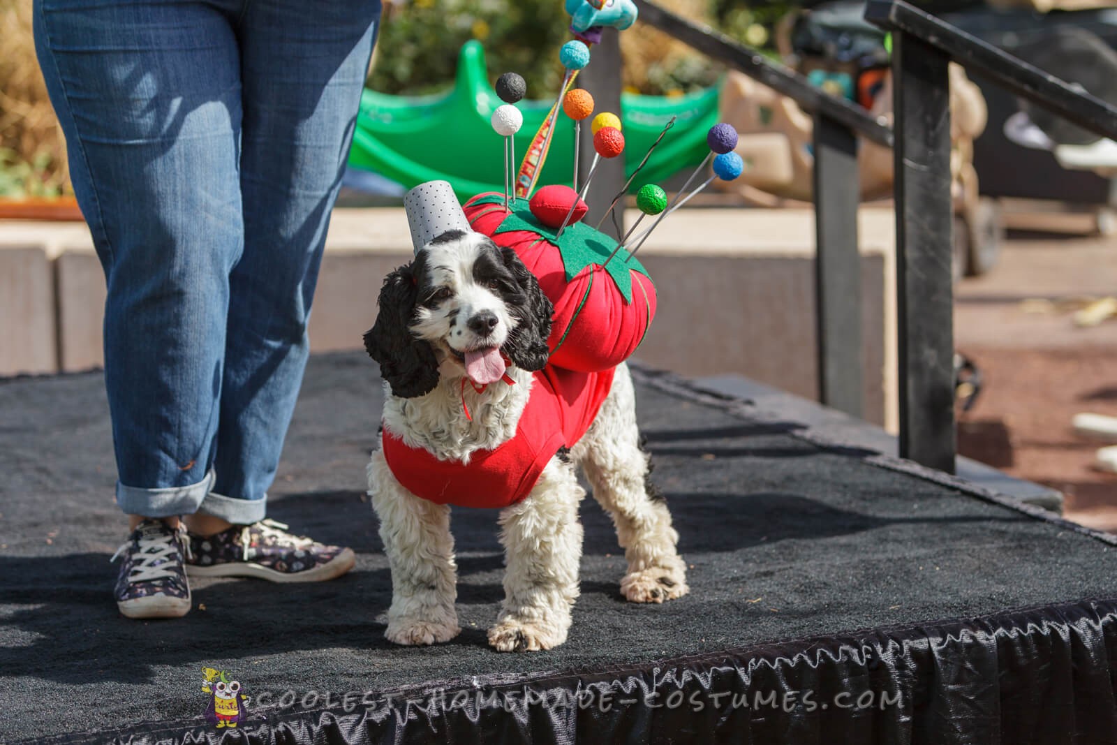 Sew Adorable Pincushion Costume for a pup)