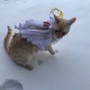 Hand crocheted angel cat