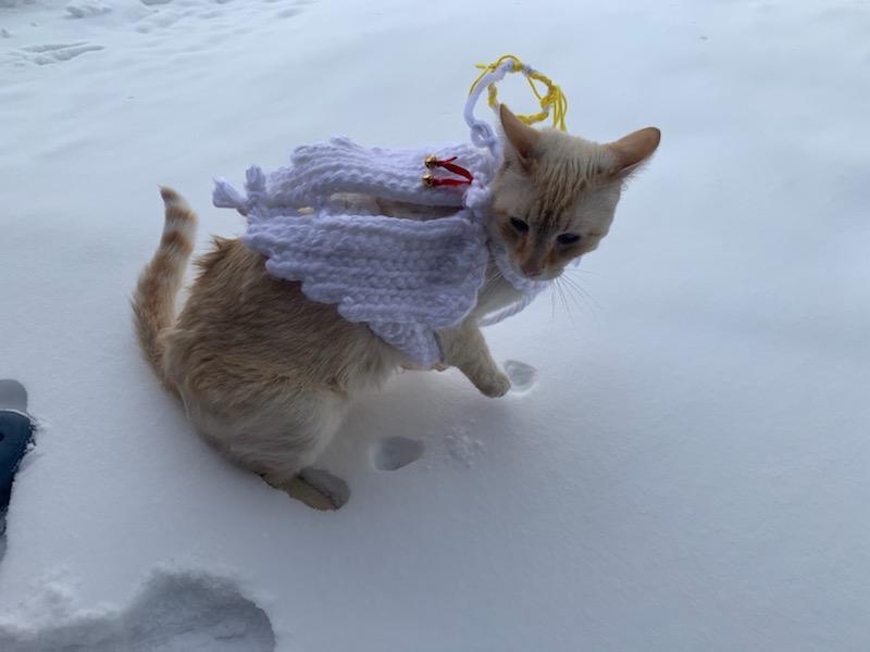 Hand crocheted angel cat