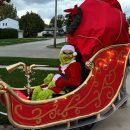 Coolest Grinch Wheelchair Costume