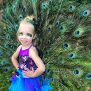 Beautiful Homemade Girls Peacock Costume - Proud as a Peacock!