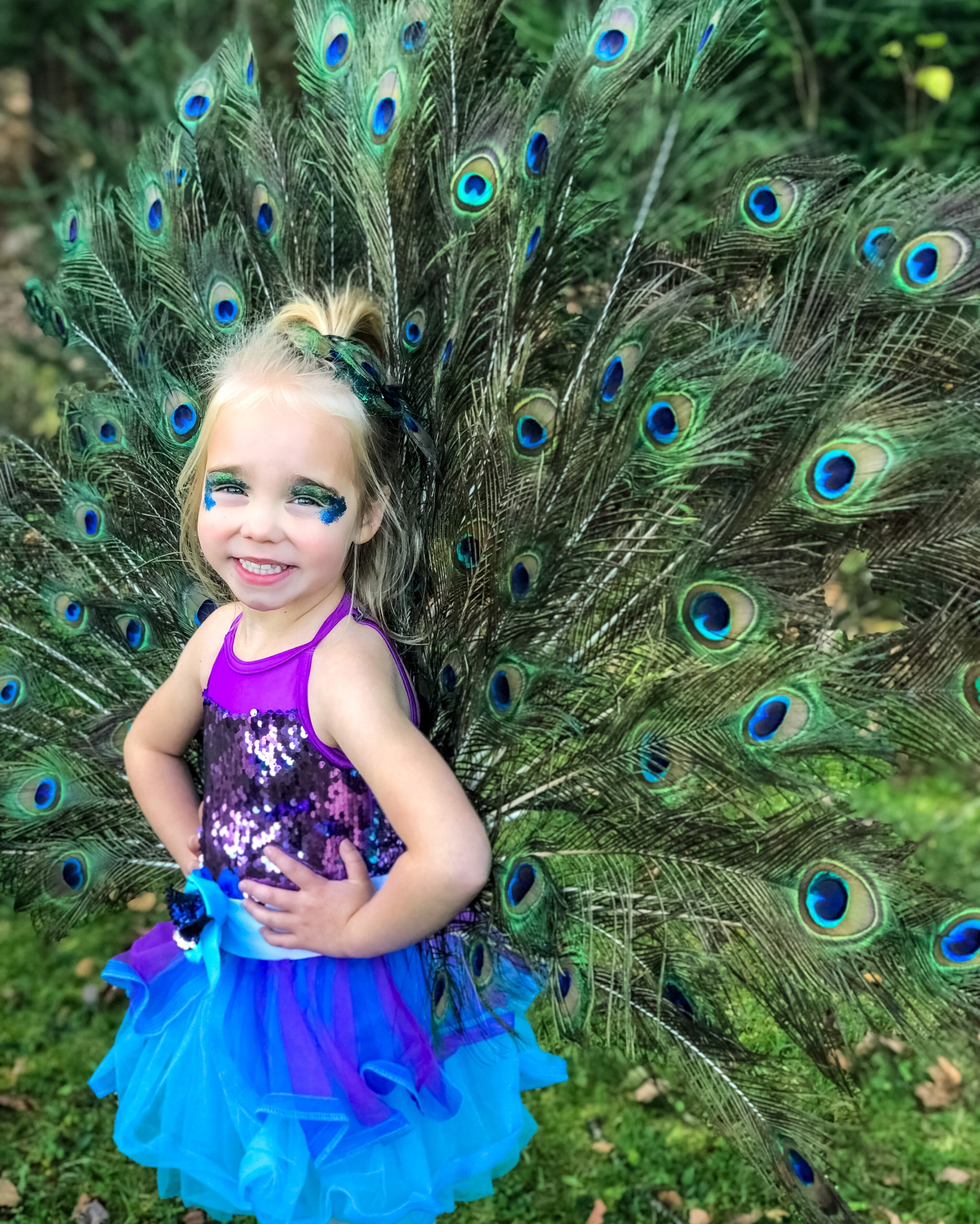 Beautiful Homemade Girls Peacock Costume - Proud as a Peacock!
