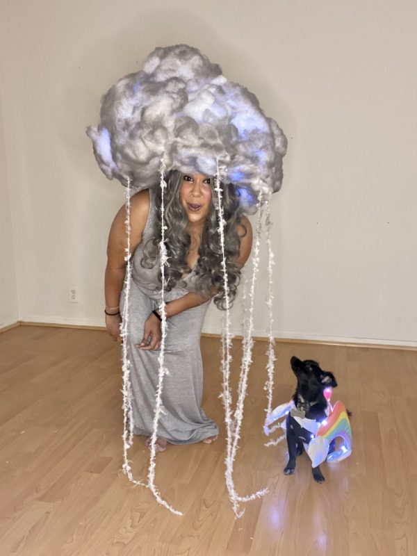 Beautiful Homemade Rain Storm Halloween Costume with Rainbow Puppy