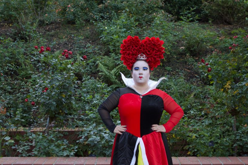 Coolest Homemade Alice in Wonderland Family Costume