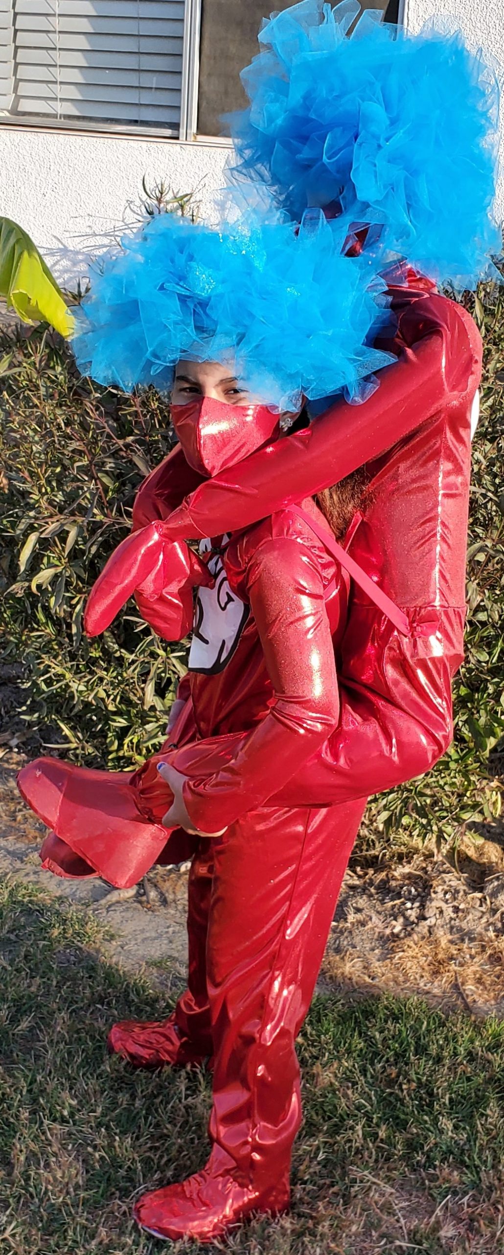 Homemade Thing 1 Costume and Thing 2